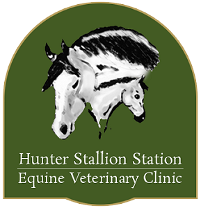 Hunter Stallion Station